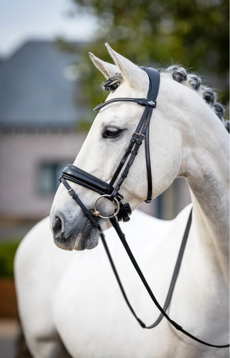 LeMieux Classic Dressage Bridle in Black-2